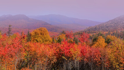 Colorful Maple and birch trees on rolling hills  in rural New Hampshire 