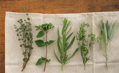 Variation of herbs on table