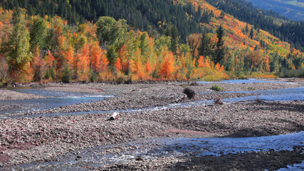Scenic Crystal river landscape in rural Colorado in autumn time