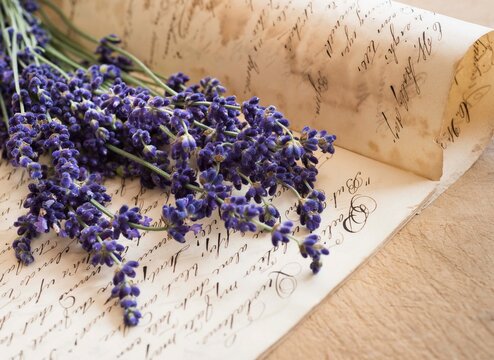Studio shot of lavender on antique handwriting