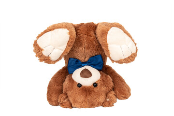 Friendly brown teddy bear with blue bow staying in handstand on white background. Photography for...