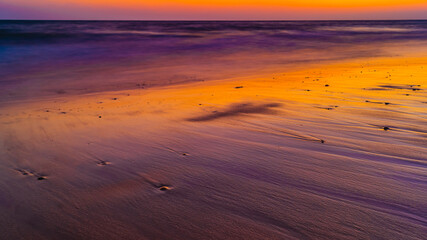 Fototapeta na wymiar sandy beach full of shells at sunset