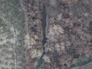 Aerial view of small river in autumn