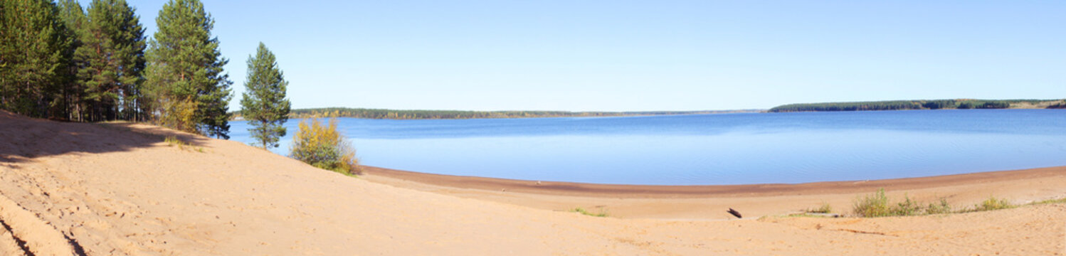 Panoramic view of a sandy beach, pine trees, pond or lake. Sand dunes on the beach. Beautiful summer landscape. widescreen. no people at the beach.