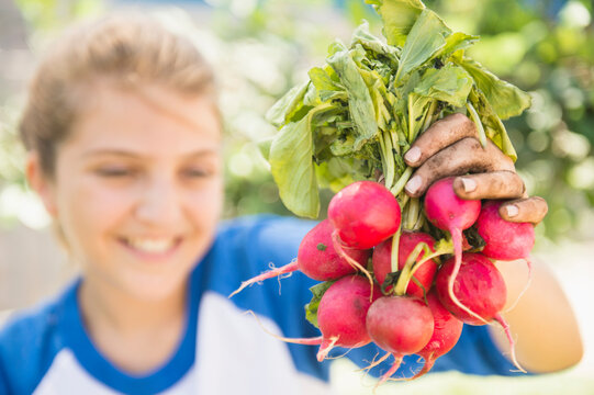 Girl (12-13) showing bunch of radish