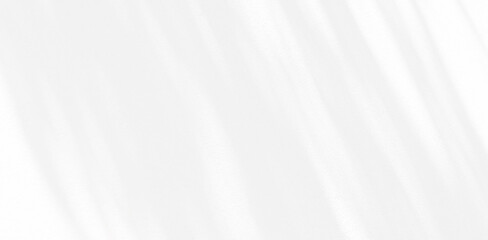 Abstract Shadow. blurred background. gray leaves that reflect concrete walls on a white wall surface for blurred backgrounds and monochrome wallpapers.