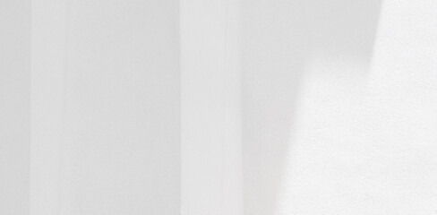 Abstract Shadow. blurred background. gray leaves that reflect concrete walls on a white wall surface for blurred backgrounds and monochrome wallpapers.