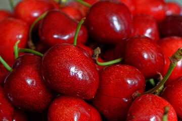 Bunch of fresh spring cherries