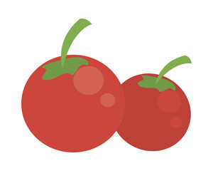 tomatoes vegetables fresh isolated icon