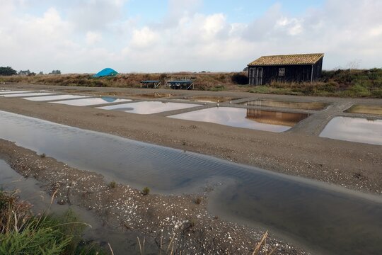 Marais salants du Barrot nord pr&egrave;s de Loix sur l'&icirc;le de R&eacute;