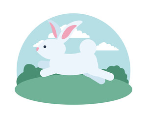 cute rabbit jumping animal in the landscape