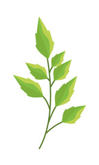 branch with leafs nature icon