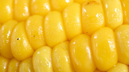 Delicious corn on the cob captured in an extreme close up. The brightly glowing yellow kernels form a recognizable pattern. The cob was lightly boiled and seasoned with salt.
