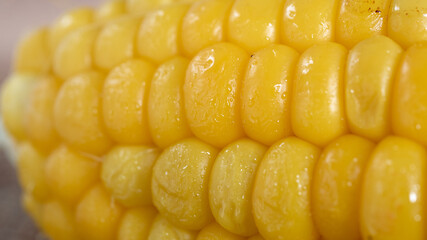 Delicious corn on the cob captured in an extreme close up. The brightly glowing yellow kernels form a recognizable pattern. The cob was lightly boiled and seasoned with salt.
