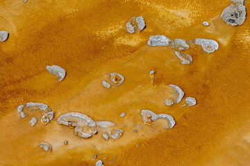 Pattern and Colors in Run-off Water from a Geyser, Upper Geyser Basin Area, Yellowstone National Park