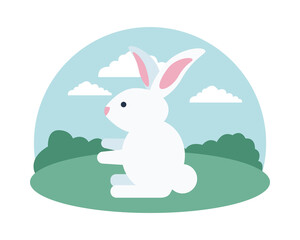 cute rabbit seated in the field scene