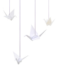 Fototapeta na wymiar White origami cranes hanging isolated white