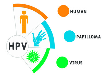 HPV - Human Papilloma Virus acronym, medical concept background. vector illustration concept with keywords and icons. lettering illustration with icons for web banner, flyer, landing page