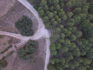 Aerial view of forest and roads in Jabalcuz, Jaén, Spain 