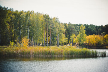 Landscape of a beautiful lake at the edge of the forest