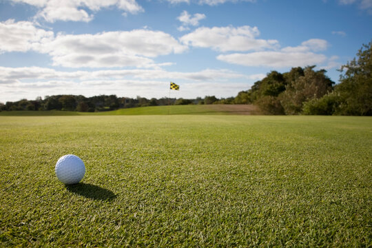 Golf ball on grass in golf course