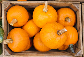 Pumpkins in box