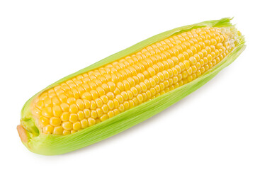An ear of corn isolated on a white background