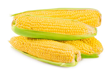 An ear of corn isolated on a white background