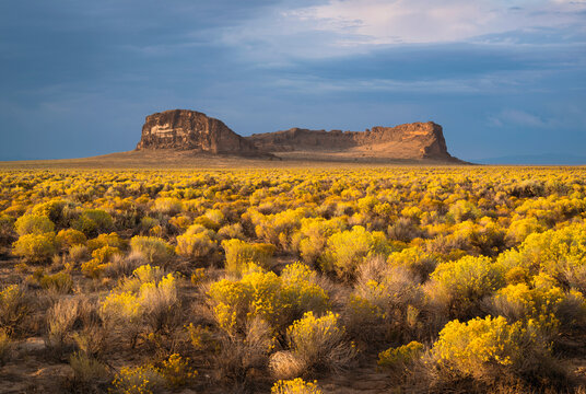 View of Fort Rock