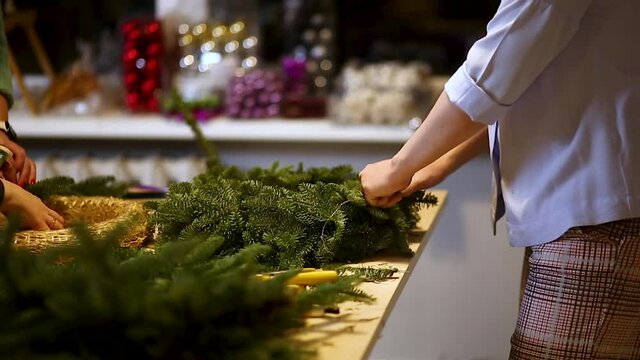hand holding christmas fir-tree