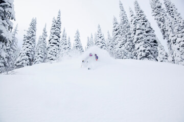 Young man skiing in forest