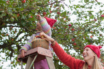 Mother and daughter picking up apples