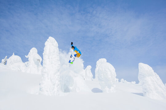 Snowboarder jumping over snowy tree