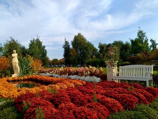 flowers in the garden