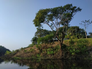 Amazônia, Brasil