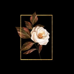 Gold frame with rose flower on black. Beautiful floral illustration