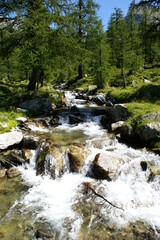 The fresh water of a mountain stream flowing down to the valley