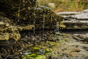 Nature in the flint hills