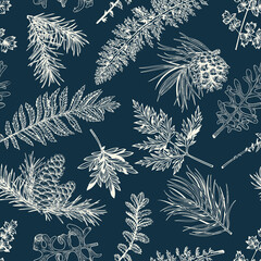 New year seamless pattern with conifers and greens. Christmas print. Botanical vector illustration. Classic Blue background and white pattern.
