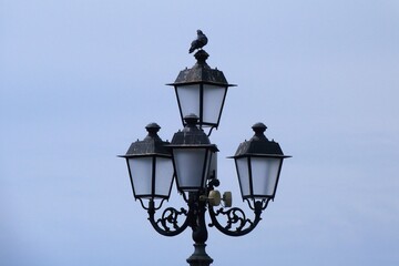 Fototapeta premium Lampione con ospite