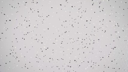 White floor texture with added blacks and whites. Abstract white gray concrete texture background.White cement wall texture for interior design.copy space for add text.Loft style.