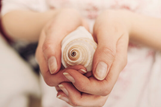 Seashell
