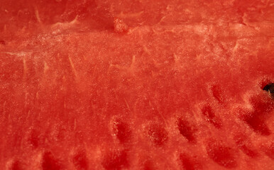 red watermelon as a background for artists