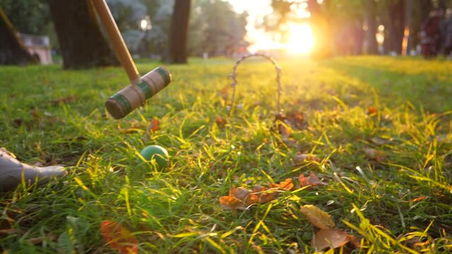 Woman put green croquet ball down and move mallet to aim. Hoop from steel wire seen near, beautiful evening sun light shine ahead, nice shining grass blades, close up shot