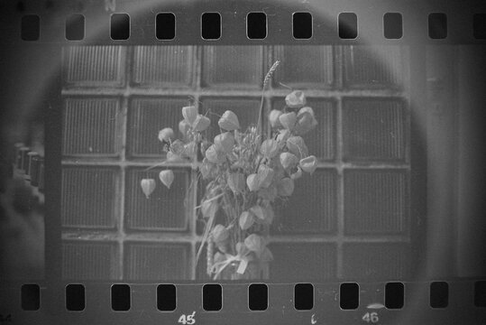 Scan of analog vintage photos