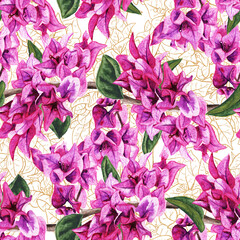 Seamless pattern with flowers of bougainvillea.