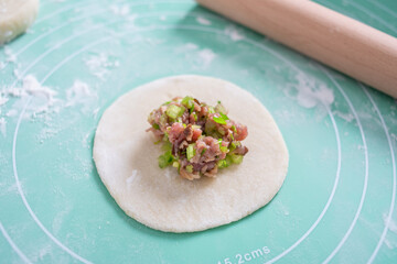 Chinese gourmet dumplings and pasta making process