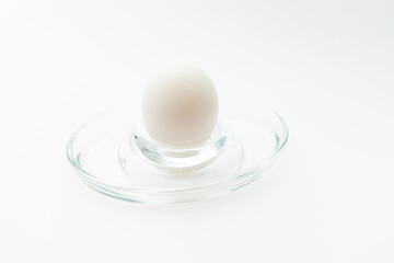 Fototapeta na wymiar white chicken egg on a stand on a white background.
