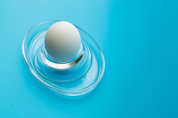 white chicken egg on a stand on a blue background.