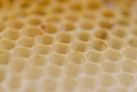 honeycomb